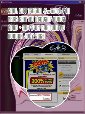 Cool cat casino new no deposit codes